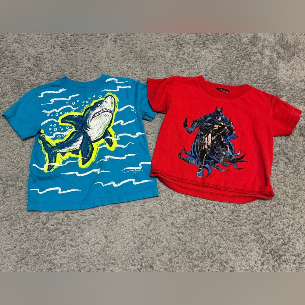 24 Month Boys Toddler Shorts & Shirts Bundle - Picture 2 of 6